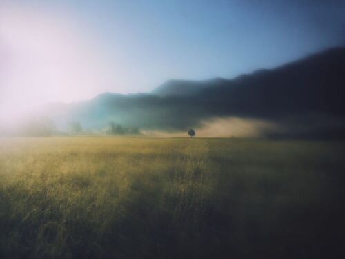 trip into the light A3 