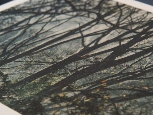 spooky branches A3