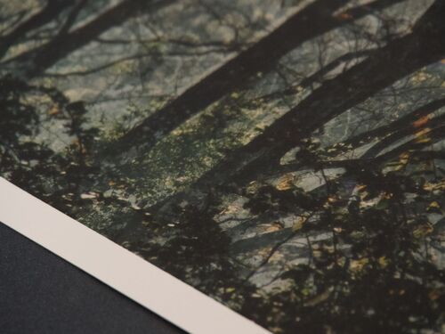 spooky branches A3