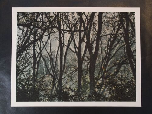 spooky branches A3