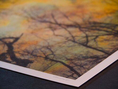 bizzare branches A3