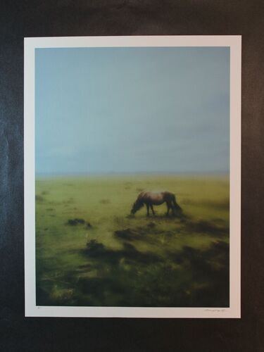 wild horses ii A3